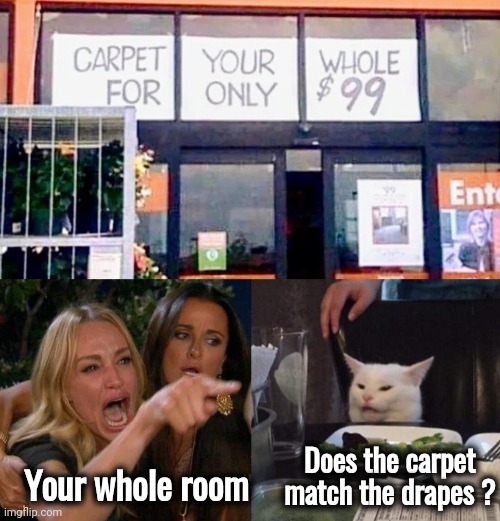 No matter how you read it | Does the carpet match the drapes ? Your whole room | image tagged in memes,woman yelling at cat,something's wrong i can feel it,godzilla had a stroke trying to read this and fricking died | made w/ Imgflip meme maker