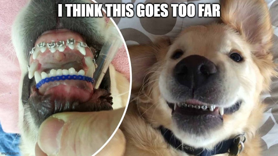 Dog Braces | I THINK THIS GOES TOO FAR | image tagged in funny dog | made w/ Imgflip meme maker