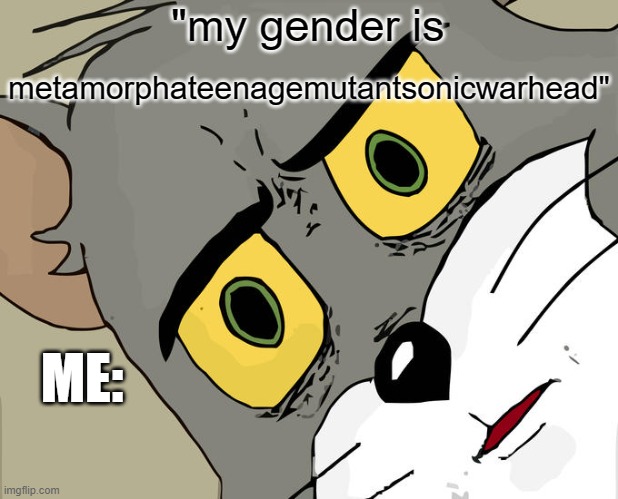 Unsettled Tom | "my gender is; metamorphateenagemutantsonicwarhead"; ME: | image tagged in memes,unsettled tom | made w/ Imgflip meme maker
