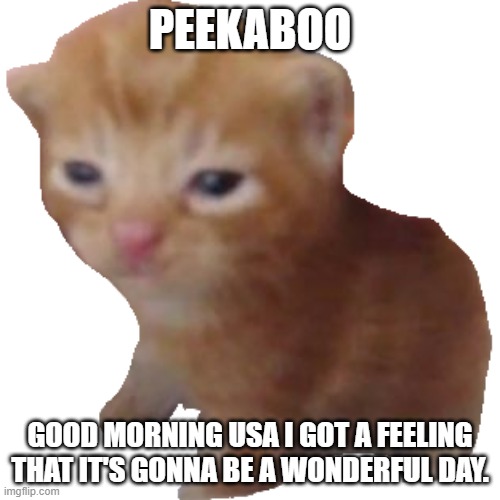 eee | PEEKABOO; GOOD MORNING USA I GOT A FEELING THAT IT'S GONNA BE A WONDERFUL DAY. | image tagged in herbert | made w/ Imgflip meme maker
