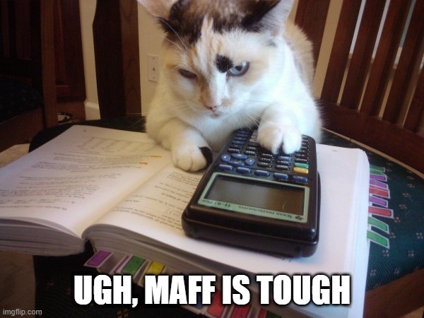 Math Cat | UGH, MAFF IS TOUGH | image tagged in funny cat | made w/ Imgflip meme maker