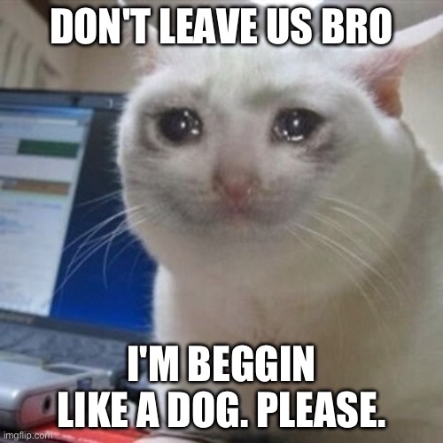 To: Flick7 | DON'T LEAVE US BRO; I'M BEGGIN LIKE A DOG. PLEASE. | image tagged in crying cat | made w/ Imgflip meme maker