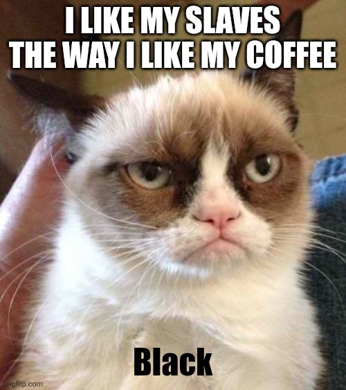 Grumpy Cat Reverse Meme | I LIKE MY SLAVES THE WAY I LIKE MY COFFEE; Black | image tagged in memes,grumpy cat reverse,grumpy cat,fun,menes,slaves | made w/ Imgflip meme maker