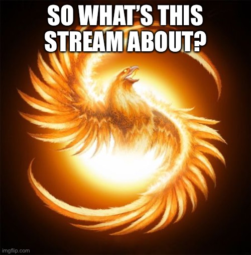 Whar | SO WHAT’S THIS STREAM ABOUT? | image tagged in phoenix rising | made w/ Imgflip meme maker