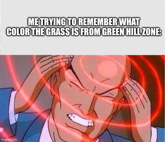Just a joke I came up with right now | ME TRYING TO REMEMBER WHAT COLOR THE GRASS IS FROM GREEN HILL ZONE: | image tagged in me trying to remember | made w/ Imgflip meme maker