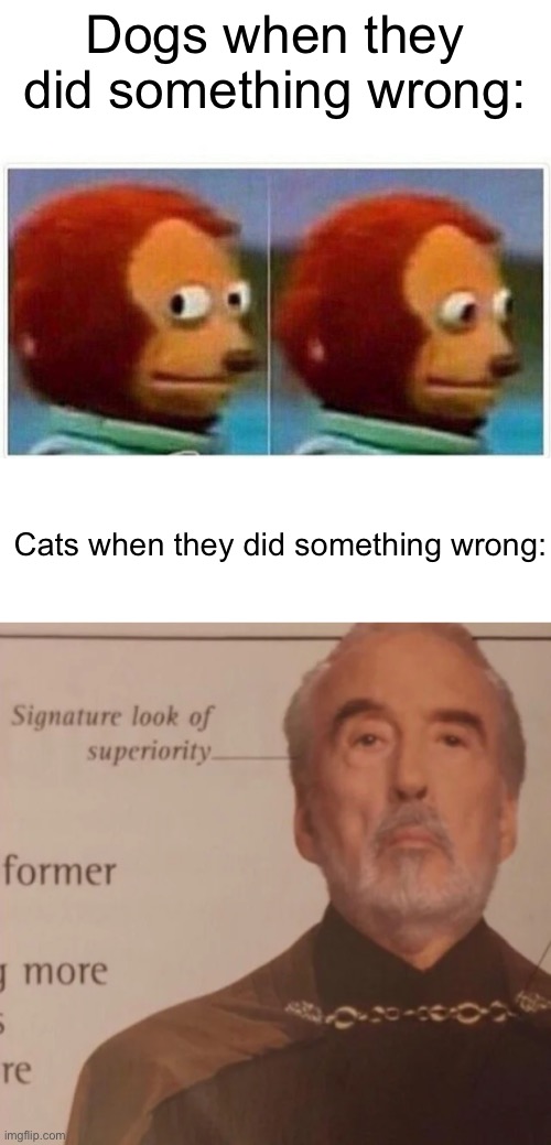 Cats | Dogs when they did something wrong:; Cats when they did something wrong: | image tagged in memes,monkey puppet,signature look of superiority | made w/ Imgflip meme maker