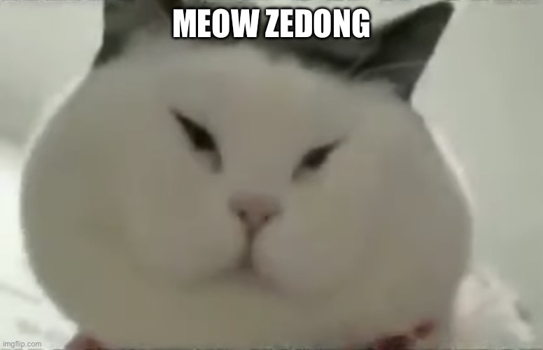 Meow Zedong | MEOW ZEDONG | image tagged in meow zedong | made w/ Imgflip meme maker