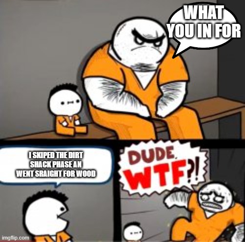 What are you in here for | WHAT YOU IN FOR; I SKIPED THE DIRT SHACK PHASE AN WENT SRAIGHT FOR WOOD | image tagged in what are you in here for | made w/ Imgflip meme maker