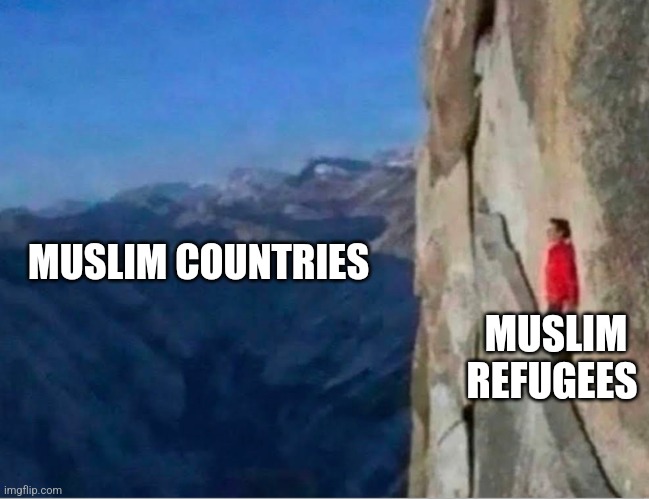 Cliff | MUSLIM COUNTRIES; MUSLIM REFUGEES | image tagged in cliff,funny memes,politics | made w/ Imgflip meme maker