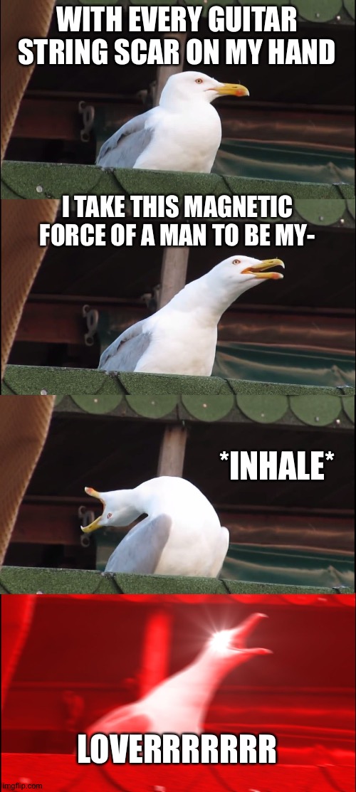 singing Lover by Taylor Swift be like: | WITH EVERY GUITAR STRING SCAR ON MY HAND; I TAKE THIS MAGNETIC FORCE OF A MAN TO BE MY-; *INHALE*; LOVERRRRRRR | image tagged in memes,inhaling seagull | made w/ Imgflip meme maker