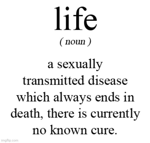 Meaning of Life | image tagged in meaning of life | made w/ Imgflip meme maker