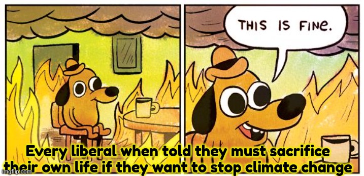 This Is Fine Meme | Every liberal when told they must sacrifice their own life if they want to stop climate change | image tagged in memes,this is fine | made w/ Imgflip meme maker