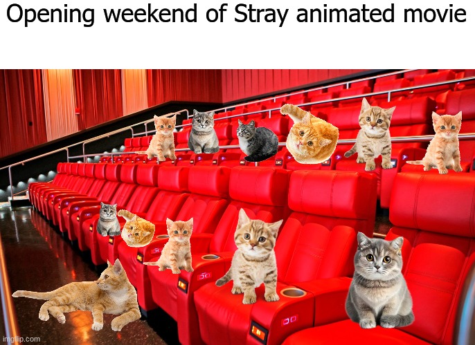 Movie audience | Opening weekend of Stray animated movie | image tagged in movies,cats,video games | made w/ Imgflip meme maker