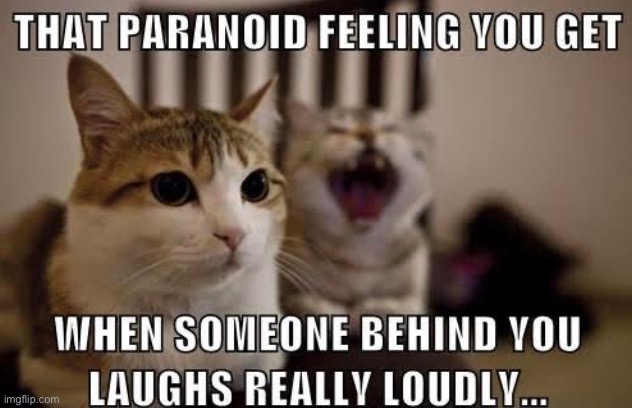 rather startling sometimes | image tagged in funny,meme,cat,laugh loud,paranoid feeling,i tend to laugh loud | made w/ Imgflip meme maker