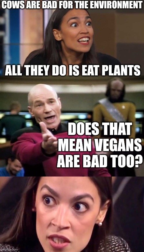 DO VEGANS ARE BAD | COWS ARE BAD FOR THE ENVIRONMENT; ALL THEY DO IS EAT PLANTS; DOES THAT MEAN VEGANS ARE BAD TOO? | image tagged in lizard woman aoc,startrek,aoc mad,politics,vegans | made w/ Imgflip meme maker