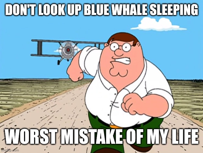 Peter Griffin running away | DON'T LOOK UP BLUE WHALE SLEEPING; WORST MISTAKE OF MY LIFE | image tagged in peter griffin running away | made w/ Imgflip meme maker