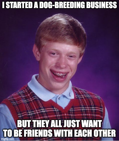 Bad Luck Brian | I STARTED A DOG-BREEDING BUSINESS; BUT THEY ALL JUST WANT TO BE FRIENDS WITH EACH OTHER | image tagged in memes,bad luck brian | made w/ Imgflip meme maker