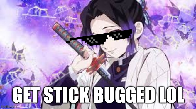 shinobu get stick bugged lol | image tagged in get stick bugged lol,shinobu,demon slayer,stick bug | made w/ Imgflip meme maker
