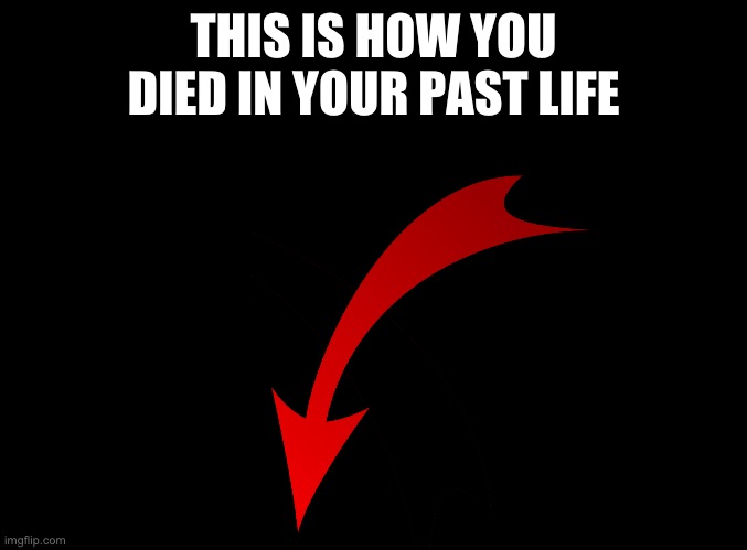 blank black | THIS IS HOW YOU DIED IN YOUR PAST LIFE | image tagged in blank black | made w/ Imgflip meme maker
