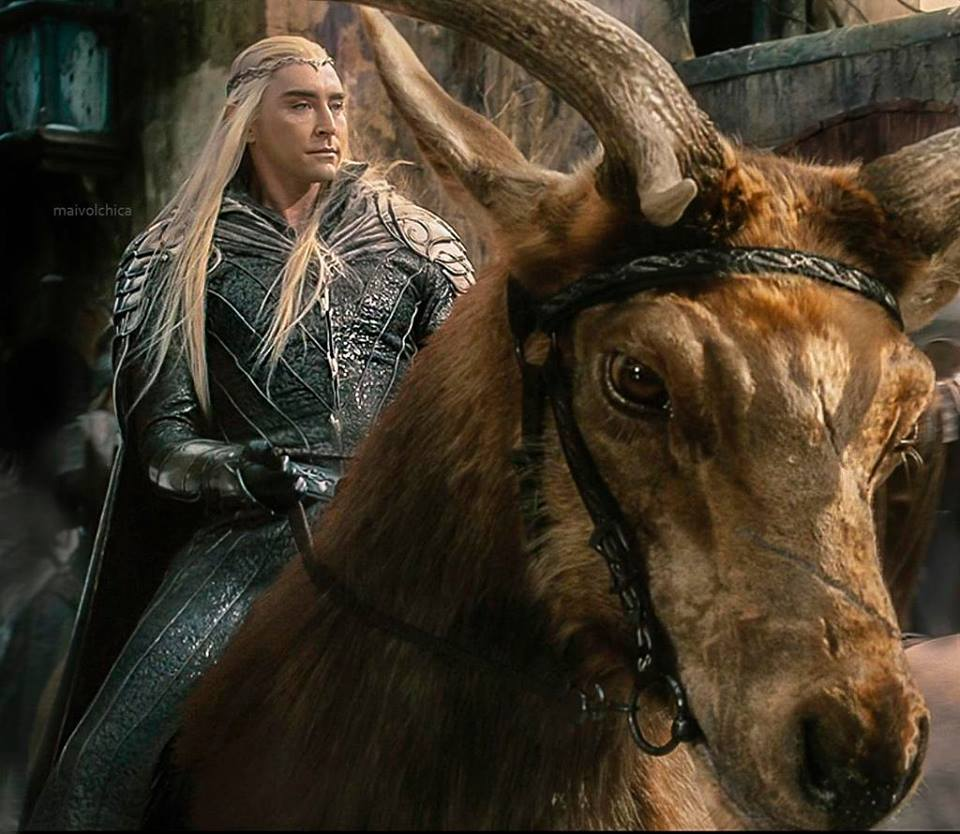 High Quality Thranduil Blank Meme Template