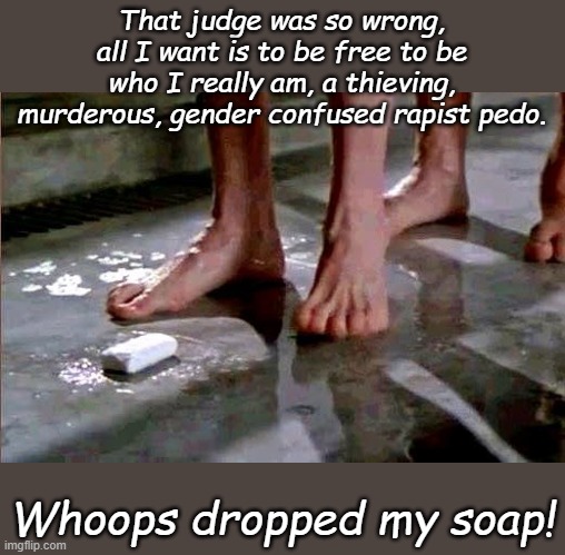 Welcome to Biden's American Justice, where all your wildest dreams come true. This year only we're including treason and bribery | That judge was so wrong, all I want is to be free to be who I really am, a thieving, murderous, gender confused rapist pedo. Whoops dropped my soap! | image tagged in drop the soap | made w/ Imgflip meme maker