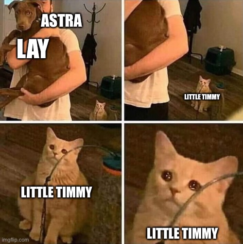 When is bro mentioned | ASTRA; LAY; LITTLE TIMMY; LITTLE TIMMY; LITTLE TIMMY | image tagged in ignored cat | made w/ Imgflip meme maker