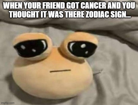 Its Sagittarius | WHEN YOUR FRIEND GOT CANCER AND YOU
 THOUGHT IT WAS THERE ZODIAC SIGN... | image tagged in pou,dark humor,dark,memes,zodiac,zodiac signs | made w/ Imgflip meme maker
