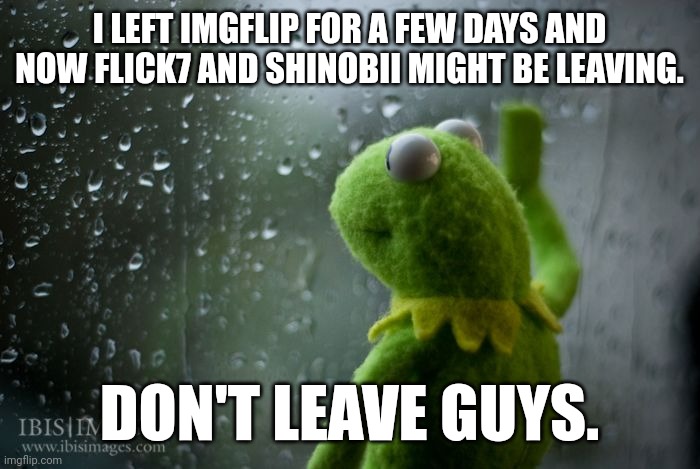 kermit window | I LEFT IMGFLIP FOR A FEW DAYS AND NOW FLICK7 AND SHINOBII MIGHT BE LEAVING. DON'T LEAVE GUYS. | image tagged in don't leave | made w/ Imgflip meme maker