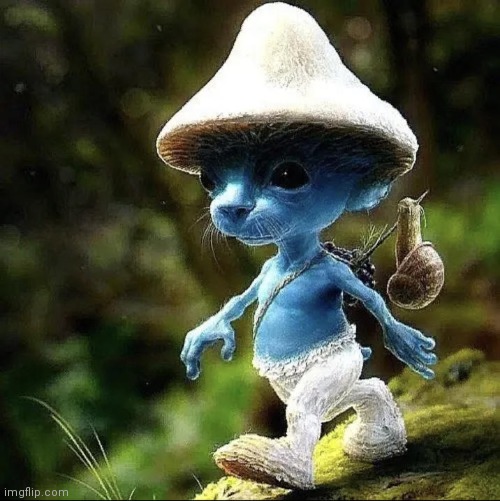 Blue Smurf Cat | image tagged in blue smurf cat | made w/ Imgflip meme maker