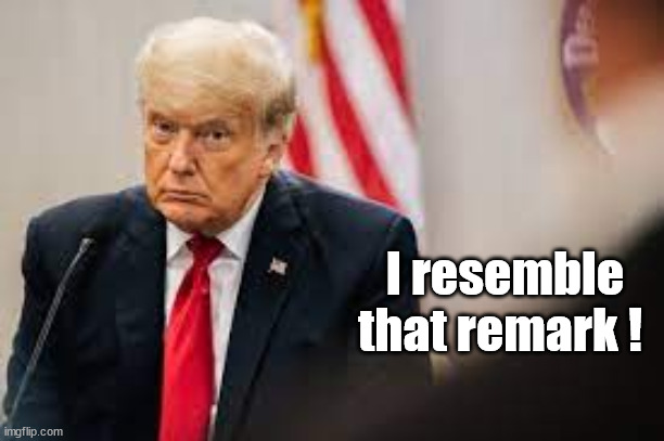 Trump resents that | I resemble that remark ! | image tagged in donald trump,resents | made w/ Imgflip meme maker