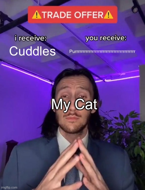 Trade Offer | Cuddles; Purrrrrrrrrrrrrrrrrrrrrrrrrrrrrrrrrrrrrrr; My Cat | image tagged in trade offer | made w/ Imgflip meme maker