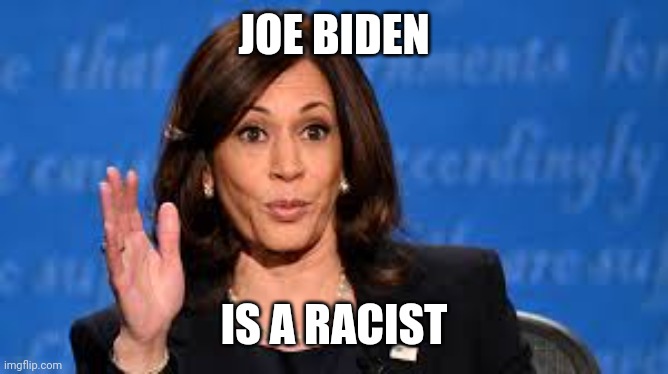 kamala at debate | JOE BIDEN IS A RACIST | image tagged in kamala at debate | made w/ Imgflip meme maker