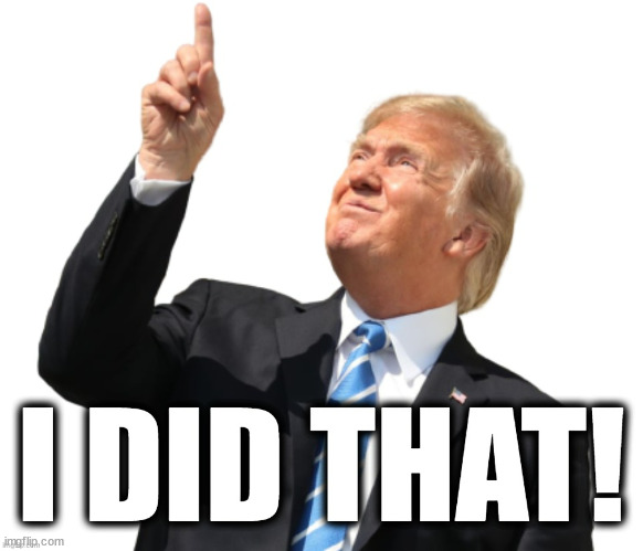 Donald Trump I did that | image tagged in donald trump i did that | made w/ Imgflip meme maker