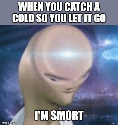SMORT | WHEN YOU CATCH A COLD SO YOU LET IT GO; I'M SMORT | image tagged in smort | made w/ Imgflip meme maker
