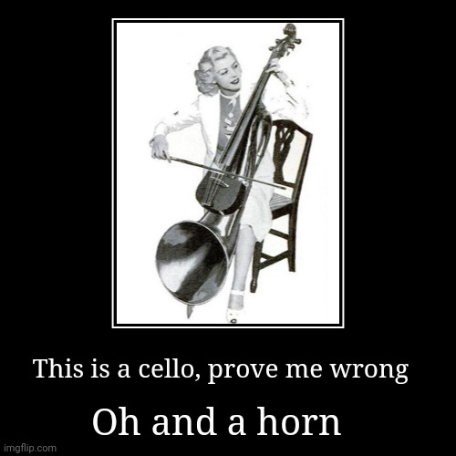 A what? | Oh and a horn | This is a cello, prove me wrong | image tagged in funny,demotivationals | made w/ Imgflip demotivational maker