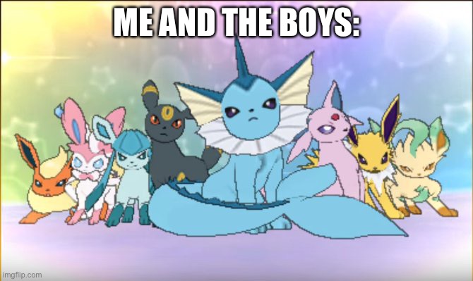 Pokemon sun moon eevee squad | ME AND THE BOYS: | image tagged in pokemon sun moon eevee squad | made w/ Imgflip meme maker