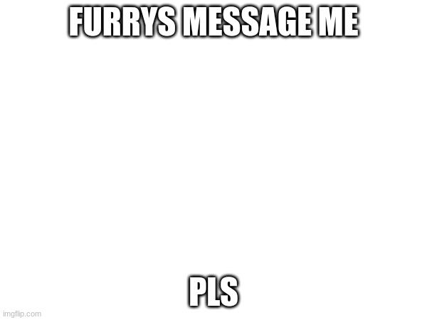 FURRYS MESSAGE ME; PLS | image tagged in furry | made w/ Imgflip meme maker