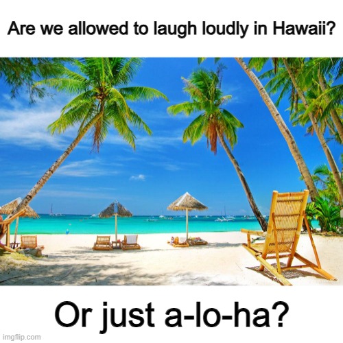 ... | Are we allowed to laugh loudly in Hawaii? Or just a-lo-ha? | image tagged in hawaii | made w/ Imgflip meme maker