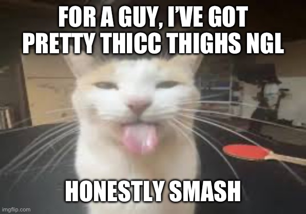 Cat | FOR A GUY, I’VE GOT PRETTY THICC THIGHS NGL; HONESTLY SMASH | image tagged in cat | made w/ Imgflip meme maker