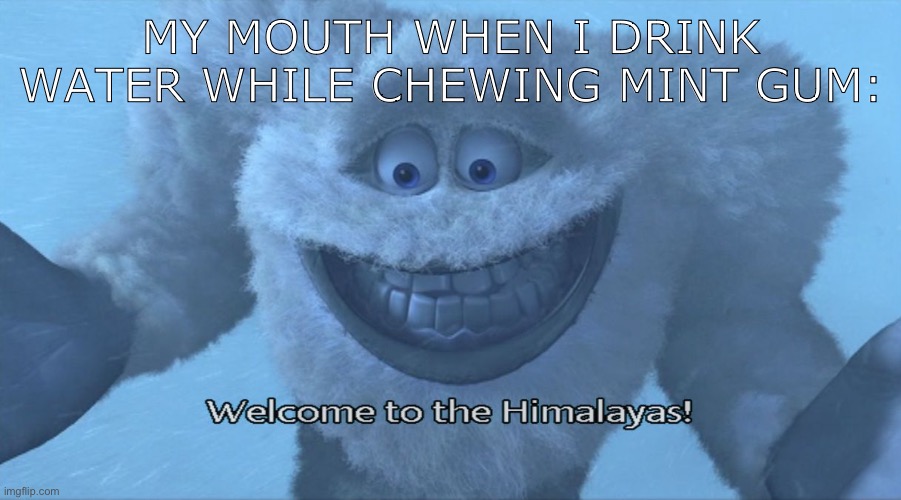 Welcome to the himalayas | MY MOUTH WHEN I DRINK WATER WHILE CHEWING MINT GUM: | image tagged in welcome to the himalayas | made w/ Imgflip meme maker