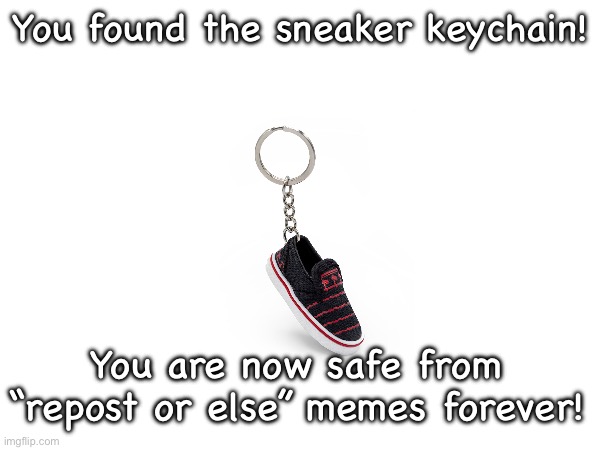 Awesome! | You found the sneaker keychain! You are now safe from “repost or else” memes forever! | image tagged in keychain | made w/ Imgflip meme maker