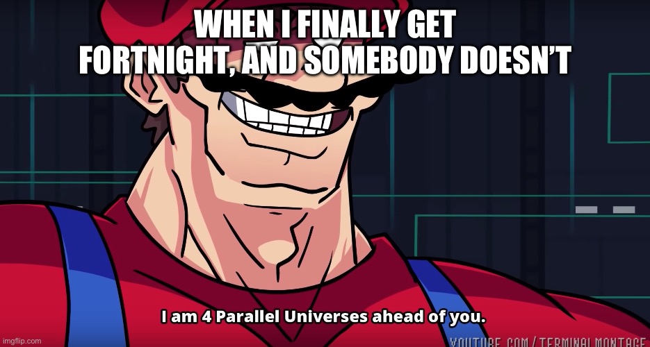 Mario I am four parallel universes ahead of you | WHEN I FINALLY GET FORTNIGHT, AND SOMEBODY DOESN’T | image tagged in mario i am four parallel universes ahead of you | made w/ Imgflip meme maker