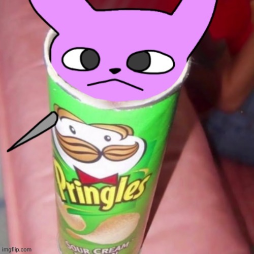 Vaxcat Pringles | image tagged in vaxcat pringles | made w/ Imgflip meme maker