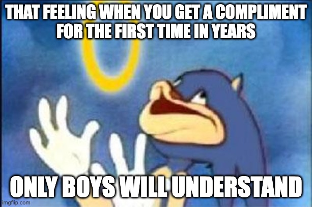 only boys will get this one | THAT FEELING WHEN YOU GET A COMPLIMENT
FOR THE FIRST TIME IN YEARS; ONLY BOYS WILL UNDERSTAND | image tagged in sonic derp | made w/ Imgflip meme maker