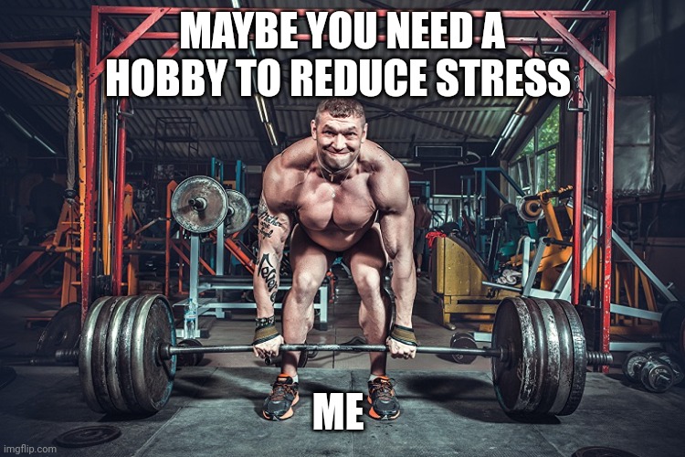 bodybuilding | MAYBE YOU NEED A HOBBY TO REDUCE STRESS; ME | image tagged in stress | made w/ Imgflip meme maker