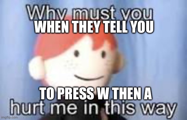 Why must you hurt me in this way | WHEN THEY TELL YOU; TO PRESS W THEN A | image tagged in why must you hurt me in this way | made w/ Imgflip meme maker
