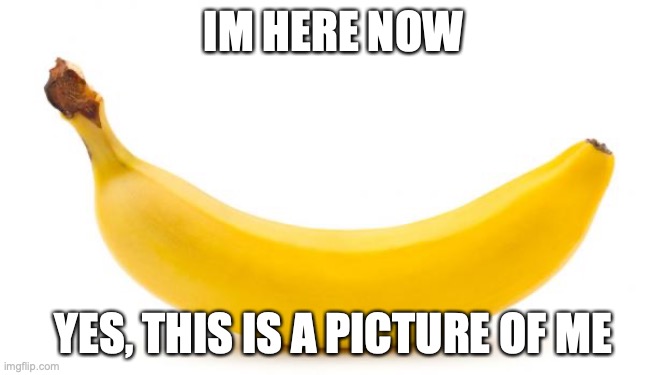 People think im human HAHA (mod note: Bananana) | IM HERE NOW; YES, THIS IS A PICTURE OF ME | image tagged in banana | made w/ Imgflip meme maker