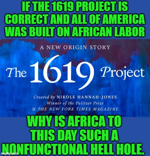 yep.... I said it | IF THE 1619 PROJECT IS CORRECT AND ALL OF AMERICA WAS BUILT ON AFRICAN LABOR; WHY IS AFRICA TO THIS DAY SUCH A NONFUNCTIONAL HELL HOLE. | image tagged in democrats | made w/ Imgflip meme maker
