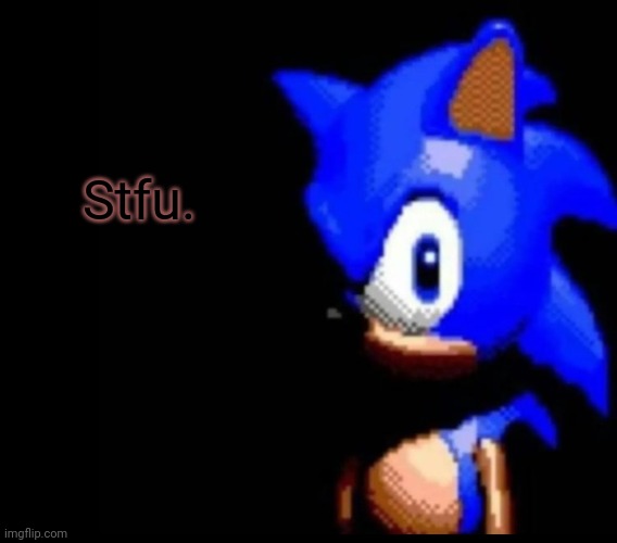 Sonic stares | Stfu. | image tagged in sonic stares | made w/ Imgflip meme maker