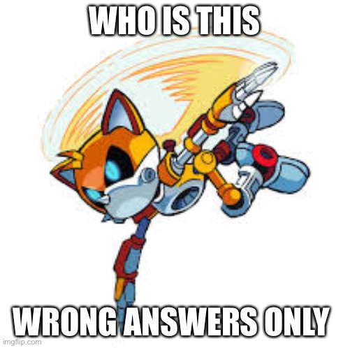 WHO IS THIS; WRONG ANSWERS ONLY | image tagged in tails | made w/ Imgflip meme maker
